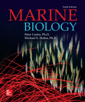 Marine-Biology.pdf